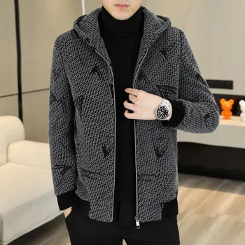 2023 kış yeni erkek moda yakışıklı rahat kapşonlu yün ceket kısa yün ceket ceket üst Kalın (Kış) organik Pamuk