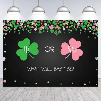 Kız veya Erkek Cinsiyet Reveal Ne Olacak Bebek Zemin Pembe ve Yeşil Bebek Duş Parti Dekorasyon Afiş Fotoğraf Sahne